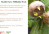 Interesting Health Facts On Medlar Fruit Health-Facts-On-MEDLAR-FRUIT
