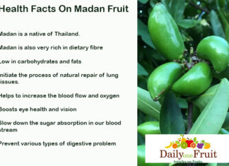 Health Facts On Madan Fruit Health Facts On Madan Fruit