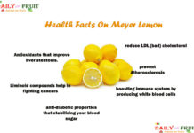 Interesting Health Facts On Meyer Lemon Health-Facts-On-Meyer-Lemon
