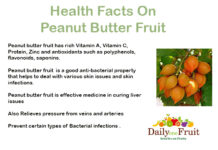 Health Benefits Of Peanut Butter Fruit Health Facts On Peanutbutterfruit