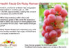 Facts On Ruby Roman Grapes Health Facts On Ruby Roman Grapes