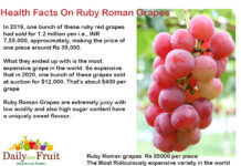 Facts On Ruby Roman Grapes Health Facts On Ruby Roman Grapes