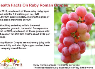 Facts On Ruby Roman Grapes Health Facts On Ruby Roman Grapes