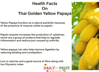 Health Facts On Thai Golden Yellow Papaya Health-Facts-On-Thai-Golden-Yellow-Papaya