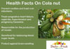 Interesting Health Facts On Cola nuts Health-Facts-On-cola-nuts