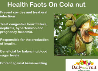 Interesting Health Facts On Cola nuts Health-Facts-On-cola-nuts