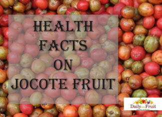 Health Facts On Jocote Fruit Health Facts On jocote fruit