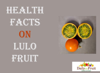 The Health Benefits of Lulo Fruit Health-Facts-On-lulo-fruit