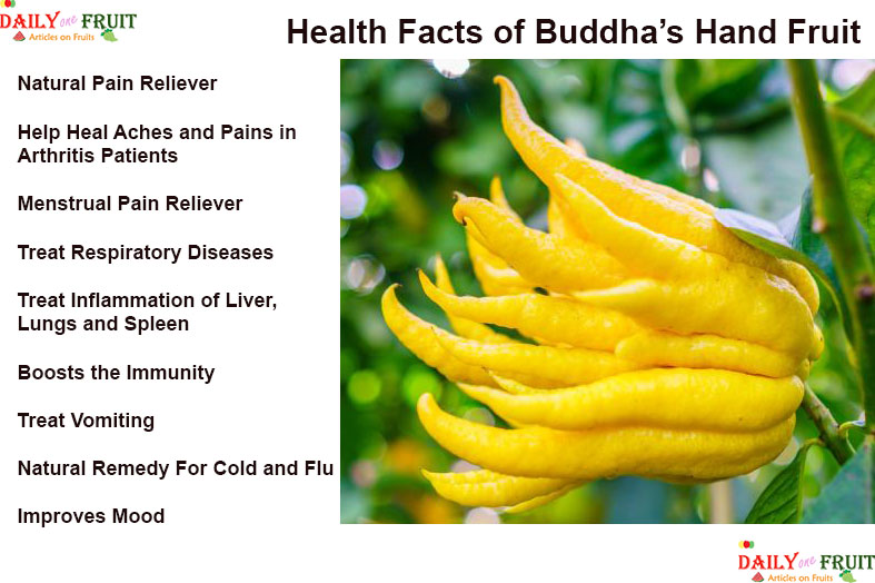 Health Facts of Buddhas Hand Fruit