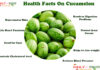 Interesting Facts On Cucamelon Fruit Health Facts on CUCAMELON FRUIT