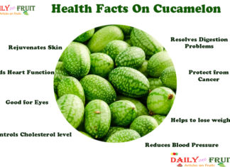 Interesting Facts On Cucamelon Fruit Health Facts on CUCAMELON FRUIT
