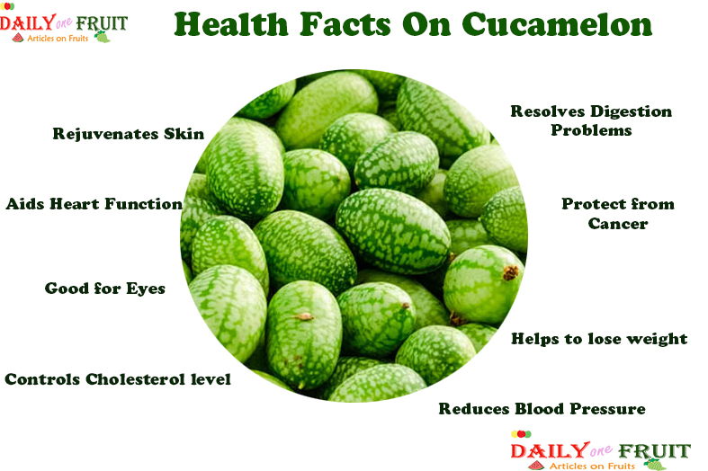 Health Facts on CUCAMELON FRUIT