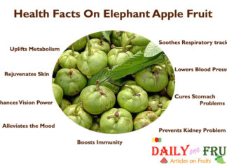 Amazing Health Facts on Elephant Apple Fruit Health-Facts-on-Elephant-Apple-Fruit