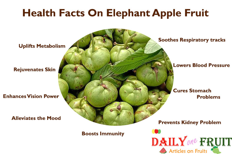 Health-Facts-on-Elephant-Apple-Fruit