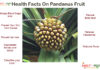 Interesting Health Facts on Pandanus fruit Interesting Health Facts on Pandanus fruit