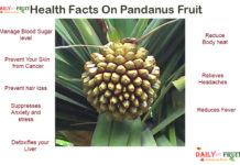 Interesting Health Facts on Pandanus fruit Interesting Health Facts on Pandanus fruit