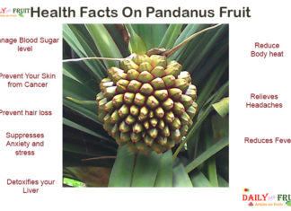 Interesting Health Facts on Pandanus fruit Interesting Health Facts on Pandanus fruit