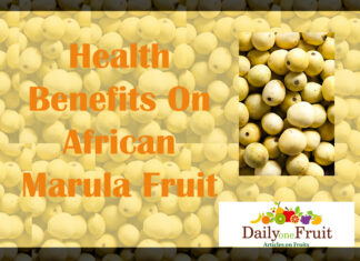 List of Scientific Names of Fruits Health benefits Of african marula fruit