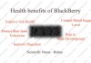 Interesting Health Benefit of BlackBerry fruit Interesting Health Benefit of BlackBerry fruit