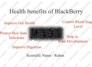 Interesting Health Benefit of BlackBerry fruit Interesting Health Benefit of BlackBerry fruit