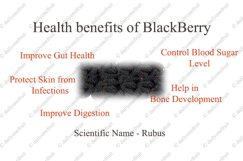 Interesting Health Benefit of BlackBerry fruit