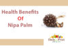 Facts On Nipa Palm Health benefits of Nipa palm