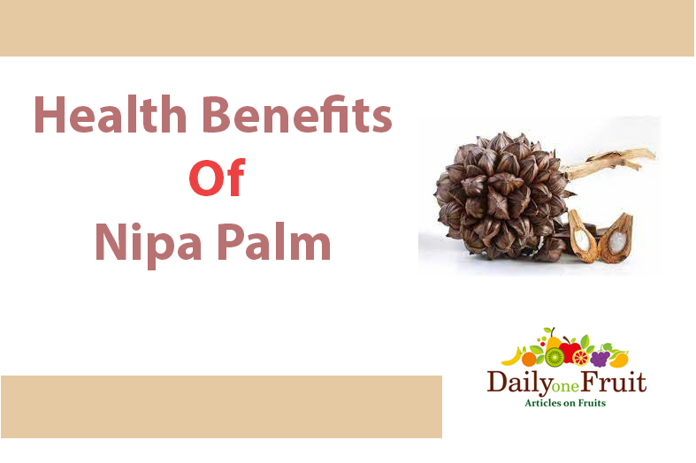 Health benefits of Nipa palm