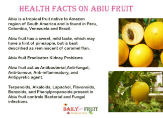 Interesting Health Facts on Abiu Fruit Health facts on abiu fruit
