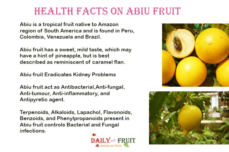 Health facts on abiu fruit
