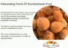 Facts Of Kumbalmadu Fruit Interesting Facts Of Kumbalmadu Fruit