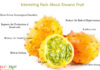 Interesting Facts About Kiwano Fruit Interesting-Facts-About-Kiwano-Fruit