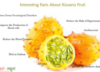 Interesting Facts About Kiwano Fruit Interesting-Facts-About-Kiwano-Fruit