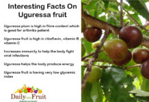 Interesting Facts On Uguressa fruit Interesting Facts ON Uguressa fruit