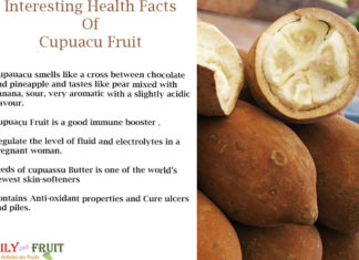 Interesting Facts Of Cupuacu Fruit Interesting-Facts-Of-Cupuacu-fruit