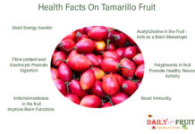 Interesting Facts Of Tamarillo Fruit Interesting-Facts-Of-TAMARILLO-FRUIT
