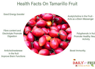 Interesting Facts Of Tamarillo Fruit Interesting-Facts-Of-TAMARILLO-FRUIT