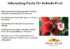 Interesting Facts On Achiote Fruit Interesting Facts On Achiote fruit