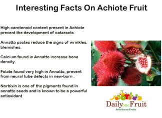 Interesting Facts On Achiote Fruit Interesting Facts On Achiote fruit