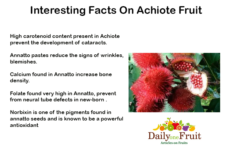 Interesting Facts On Achiote fruit