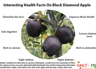 Interesting Health Facts On Black Diamond Apple Interesting-Facts-On-Black-Diamond-Apple