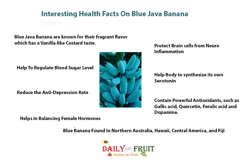Interesting-Facts-On-Blue-Java-Banana