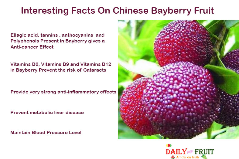 Interesting-Facts-On-CHINESE-BAYBERRY-FRUIT