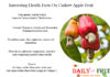 Interesting Health Facts On Cashew Apple Interesting-Facts-On-Cashew-Apple