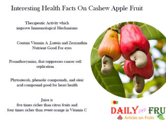 Interesting Health Facts On Cashew Apple Interesting-Facts-On-Cashew-Apple