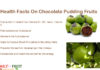 Interesting Facts On Chocolate Pudding Fruit Interesting Facts On Chocolate Pudding Fruit