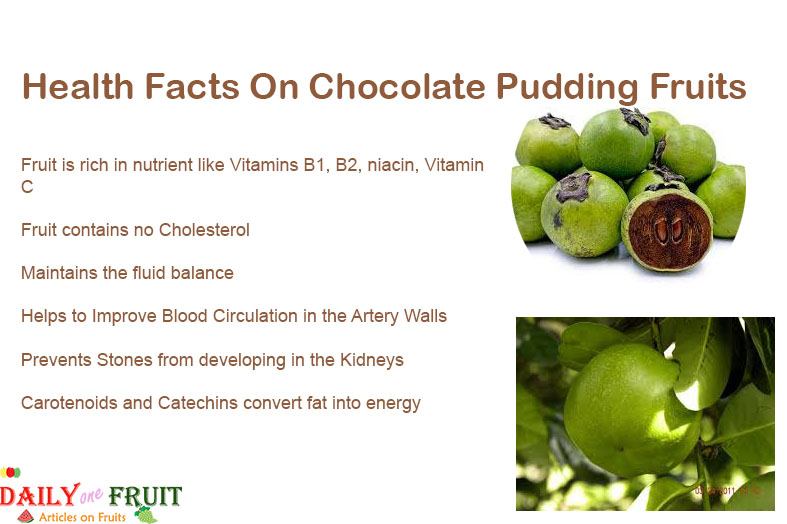 Interesting Facts On Chocolate Pudding