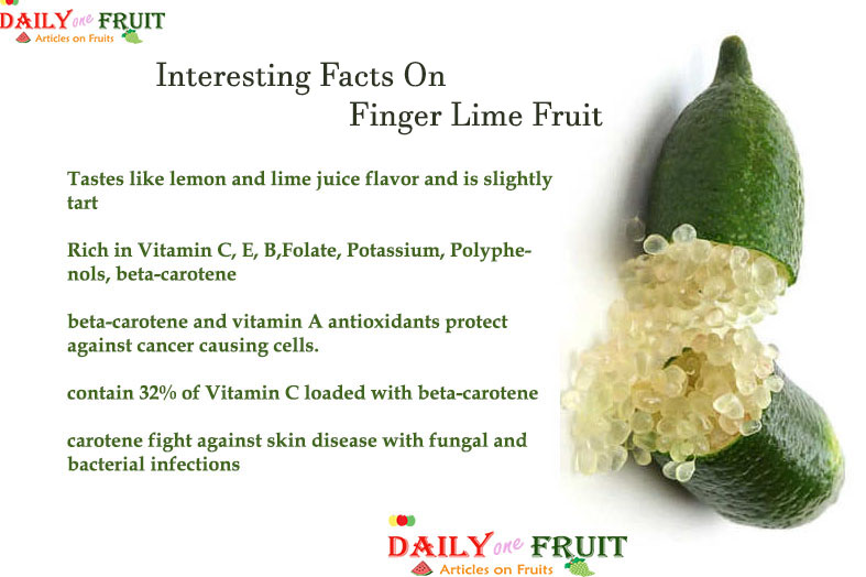 Interesting Facts On Finger Lime Fruit