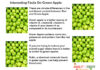 Interesting Health Facts On Green Apple Interesting-Facts-On-Green-Apple