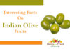 Health Benefits On Olive fruit Interesting Facts On Indian Olive Fruits