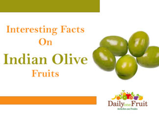 Health Benefits On Olive fruit Interesting Facts On Indian Olive Fruits